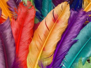 how many feathers does it take to make a pound